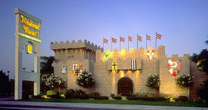 castle_buenapark2